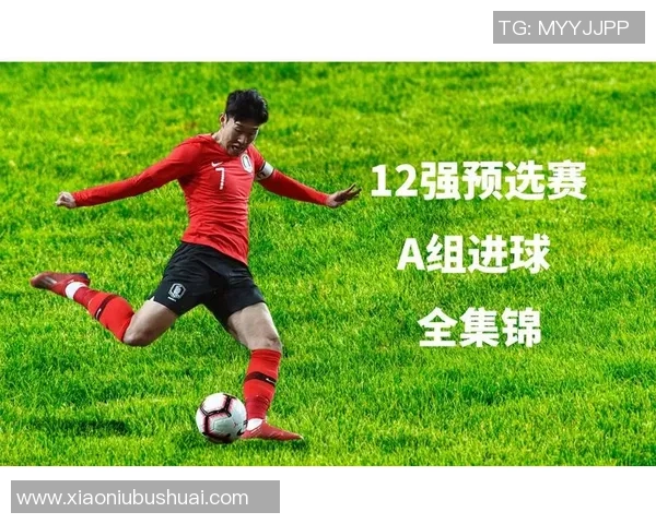 世界杯预选赛积分榜：南京排球队以98分领跑
