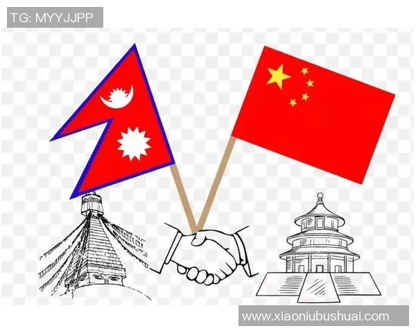 广州排球队进攻革新之路探索与实践的深度剖析与展望 广州排球队进攻革新之路探索与实践的深度剖析与展望