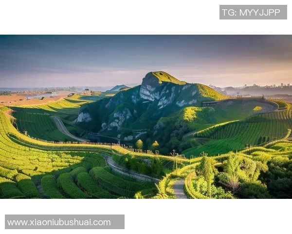 足球明星魅力四射壁纸精选集让你尽享视觉盛宴