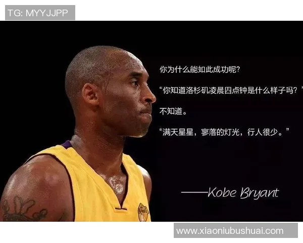 深度对话赵强篮球人生的起伏与坚持背后的故事