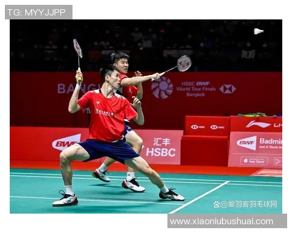 西安羽毛球队总决赛精彩回顾与技术表现分析