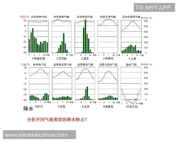 重庆排球队速度表现分析及其对比赛胜负的影响探讨 重庆排球队速度表现分析及其对比赛胜负的影响探讨