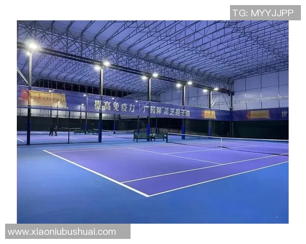 广州网球队与北京网球队赛后分析个人能力的深度对比与启示