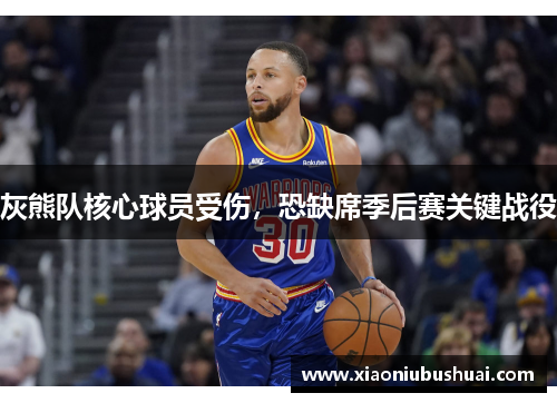 灰熊队核心球员受伤，恐缺席季后赛关键战役