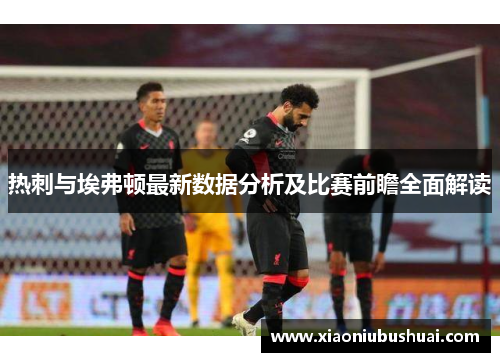 热刺与埃弗顿最新数据分析及比赛前瞻全面解读