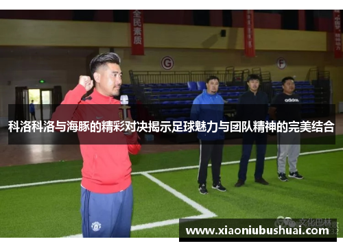 科洛科洛与海豚的精彩对决揭示足球魅力与团队精神的完美结合