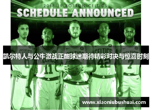 凯尔特人与公牛激战正酣球迷期待精彩对决与惊喜时刻