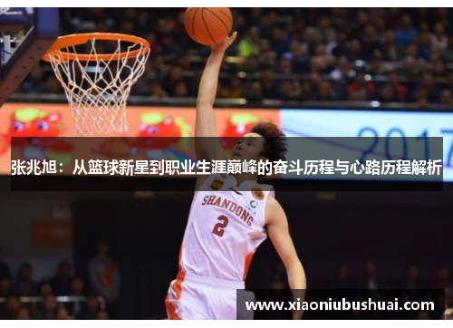 张兆旭：从篮球新星到职业生涯巅峰的奋斗历程与心路历程解析